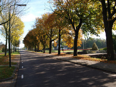 SGP stelt vragen over naamgeving straten