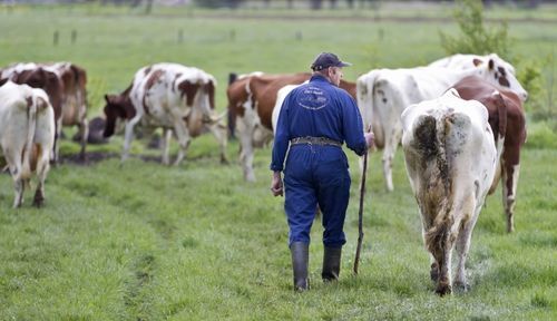 Staatssecretaris Van Dam heeft vertrouwen verloren
