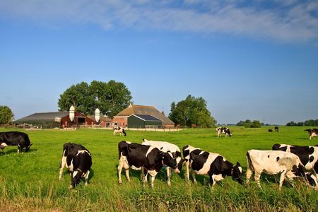 Fosfaatwet: zo niet!
