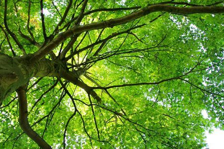 Wetgeving buitengebied op de schop: bruikbaar resultaat