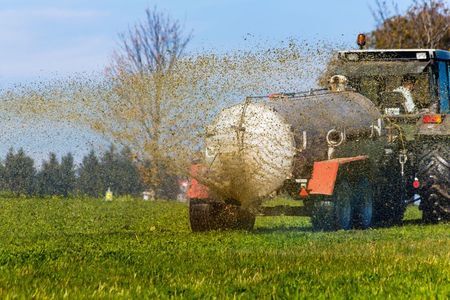 SGP: Van Dam, laat mestbeleid niet aan Brussel over!