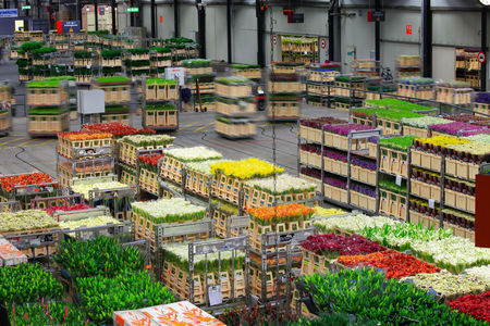 Kansen voor Nederlandse agrosector in Israël
