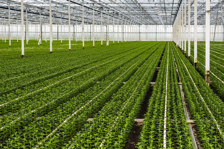 SGP: benut EU-geld voor tuinbouw
