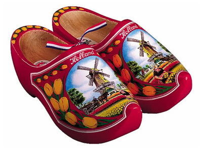 Artikel-34-vragen betreffende inburgeringscursus