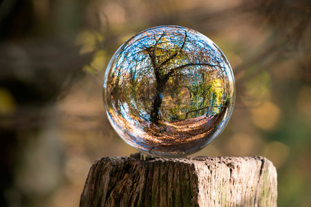 Debatverzoek over het toevoegen van klimaatparagraaf aan beleidsvoorstellen