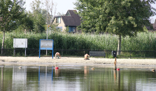 SGP-fractie stelt schriftelijke vragen over kwaliteit zwemwater Zwanenmeer