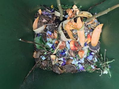 Artikel 34-vragen met betrekking tot inzameling gft-afval door de schillenboer