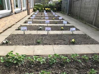 Zeeuwse proeftuin Maak verschil 