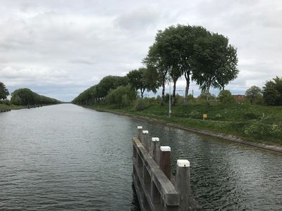 Vragen over abelenkap langs het Kanaal door Walcheren