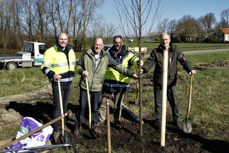 Boomfeestdag op Goeree-Overflakkee
