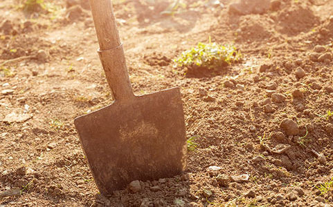 Nota Grondbeleid 2017 - 2021