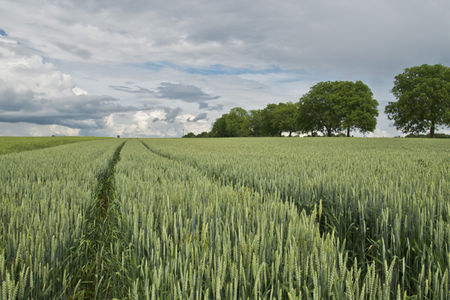 Debatverzoek aanpassing beleidsregels verpachten landbouwgronden