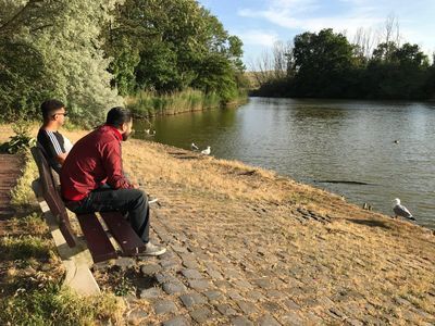 Vervolgverhaal: Nollebos