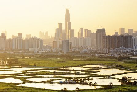 Nieuwe Zicht: Stad en platteland