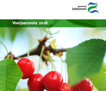 Bijdrage Voorjaarsnota over 2018