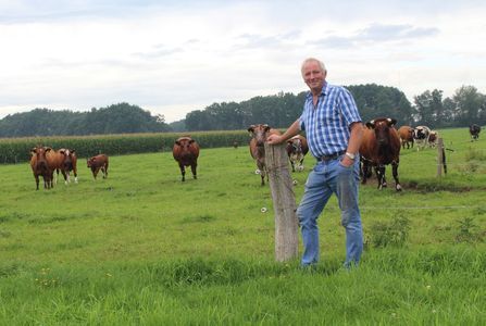SGP stelt vragen over mogelijke verhuizing Dassenburcht