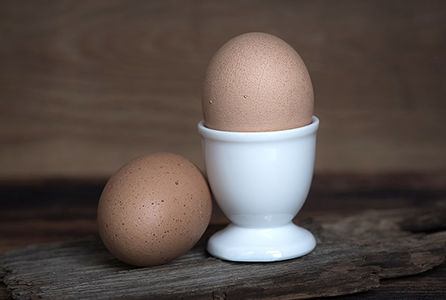 Schriftelijke vragen over fipronil-affaire