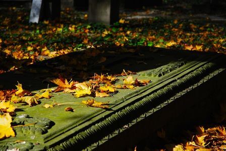 Uitgelicht: Amendement lijkbezorging