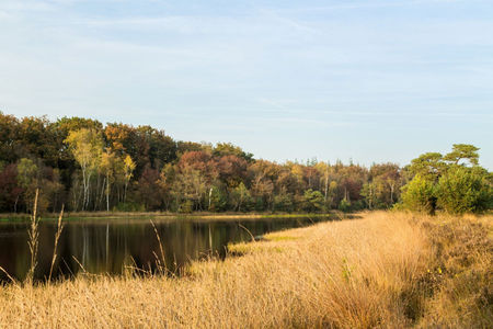Rentmeester van de natuur