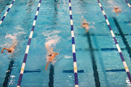 Keuzes omtrent zwembad en sporthal