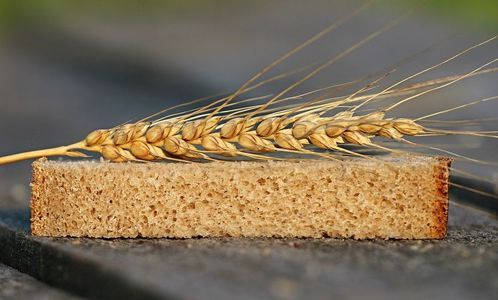 Bijdrage algemene beschouwingen: Duurzaam leven