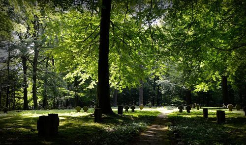 Begraven moet betaalbaar blijven