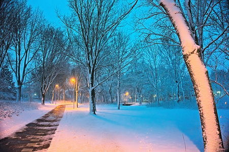 Strooibeleid: ook een waardig afscheid bij winters weer