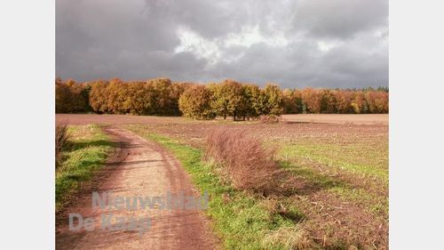 Bedrijventerrein Leersum