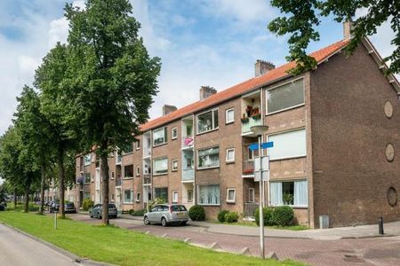 Nieuwbouw sociale huurwoning effectiever dan oplappen