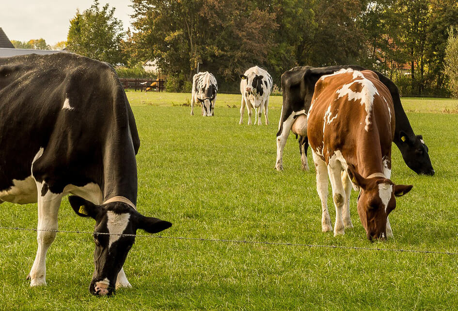 Voor bescherming agrarische belangen