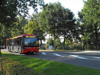 HOV oké, vrije busbaan NEE