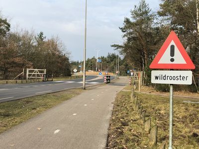 SGP stelt vragen over wildaanrijdingen