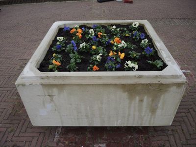 Viooltjes in plaats van een naald