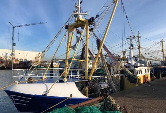 Brexit-deal leidt tot omzetverlies voor Zeeuwse vissers