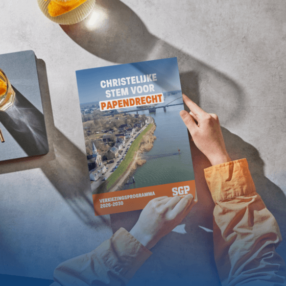 Verkiezingsprogramma