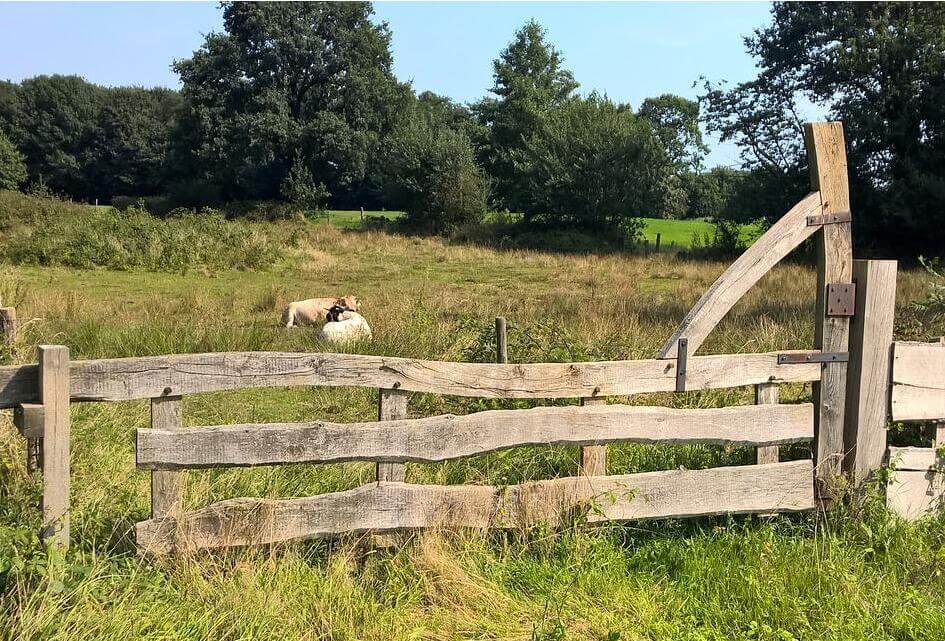 SGP: Geen hek om de natuur