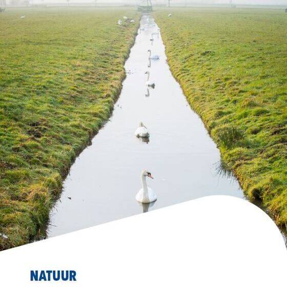 Natuur