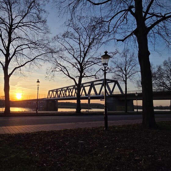 Verkiezingen gemeenteraad