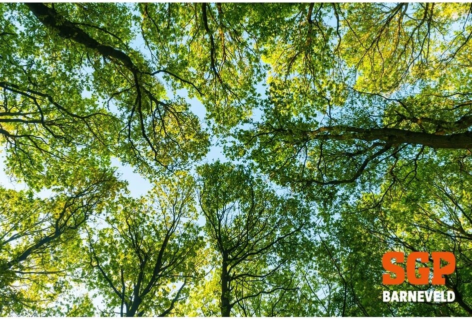 RAADSVERGADERING | Herplant 333 bomen