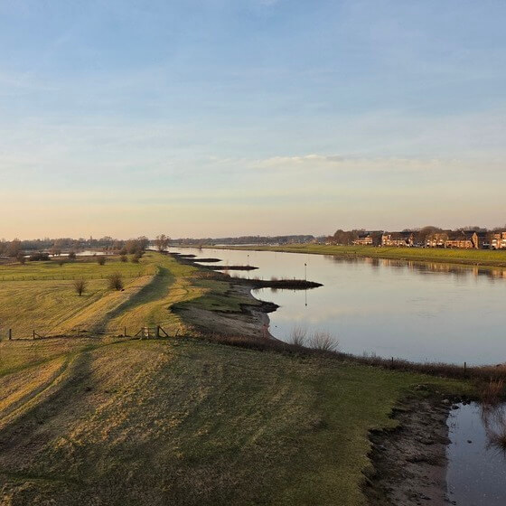 Verkiezingsprogramma