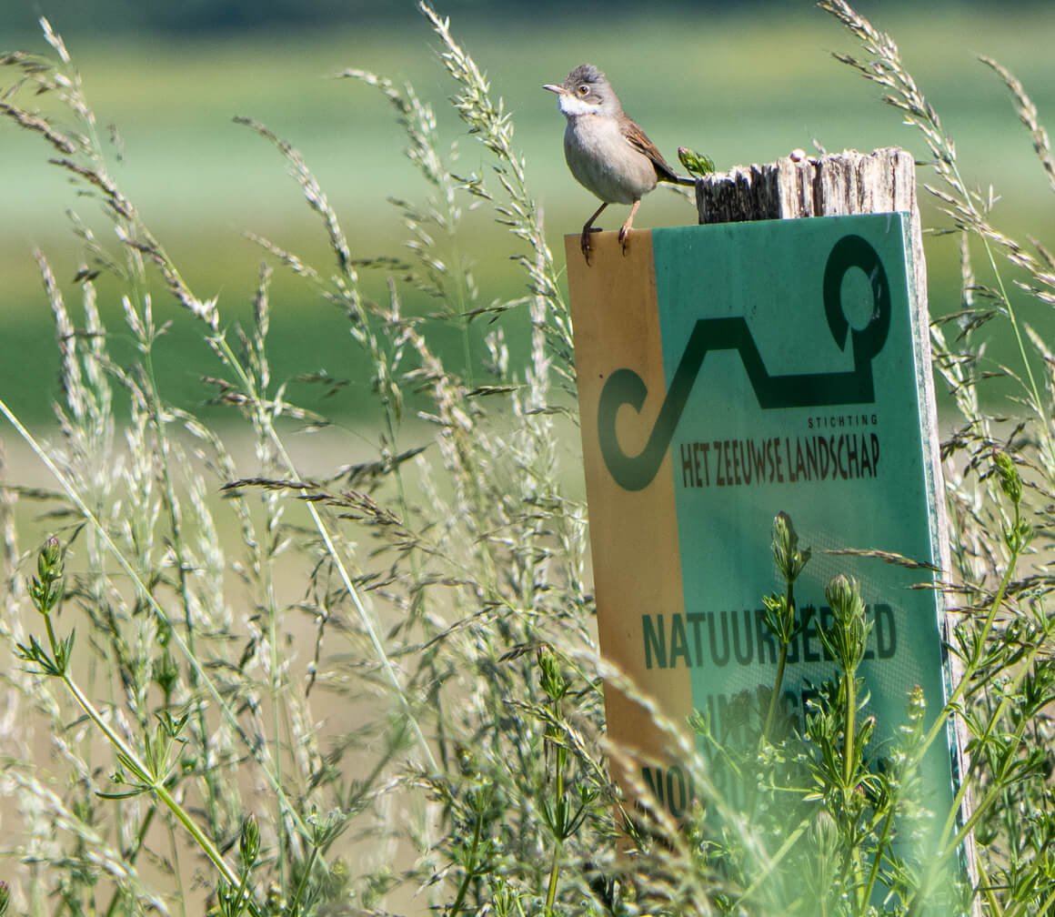 Milieu, Klimaat en Natuur