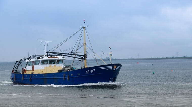 Boter bij de vis